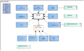 Respiration-v3.1Model(2017EN).png